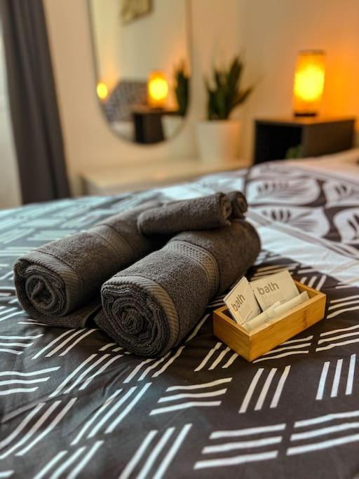 Appartement Le Spacieux Et Confortable A 15min De La Gare Valence (Drome)